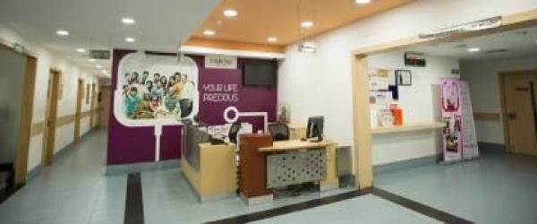 Miracles Apollo Cradle